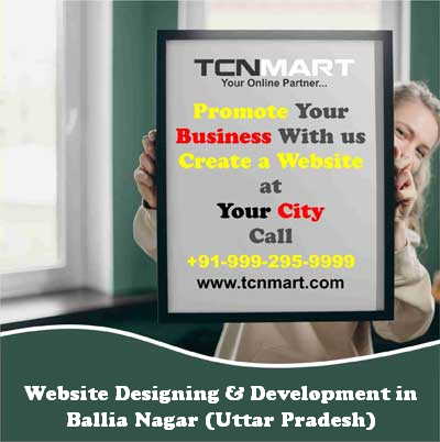 Website Designing in Ballia Nagar