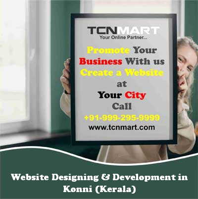 Website Designing in Konni