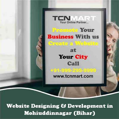 Website Designing in Mohiuddinnagar