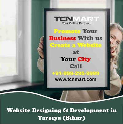 Website Designing in Taraiya